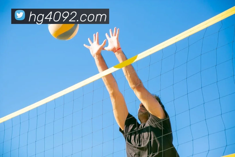 皇冠体育网站入口服务体系